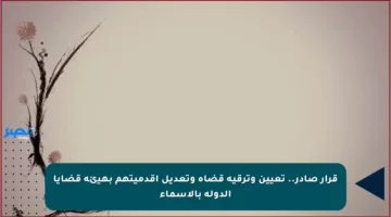 قرار صادر.. تعيين وترقية قضاة وتعديل أقدميتهم بهيئة قضايا الدولة بالأسماء